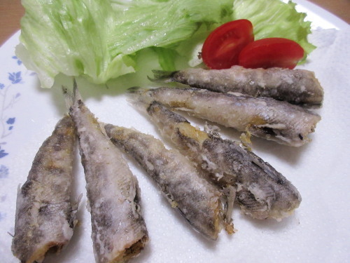 dinn00909.jpg